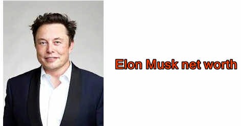 Elon Musk net worth 2022