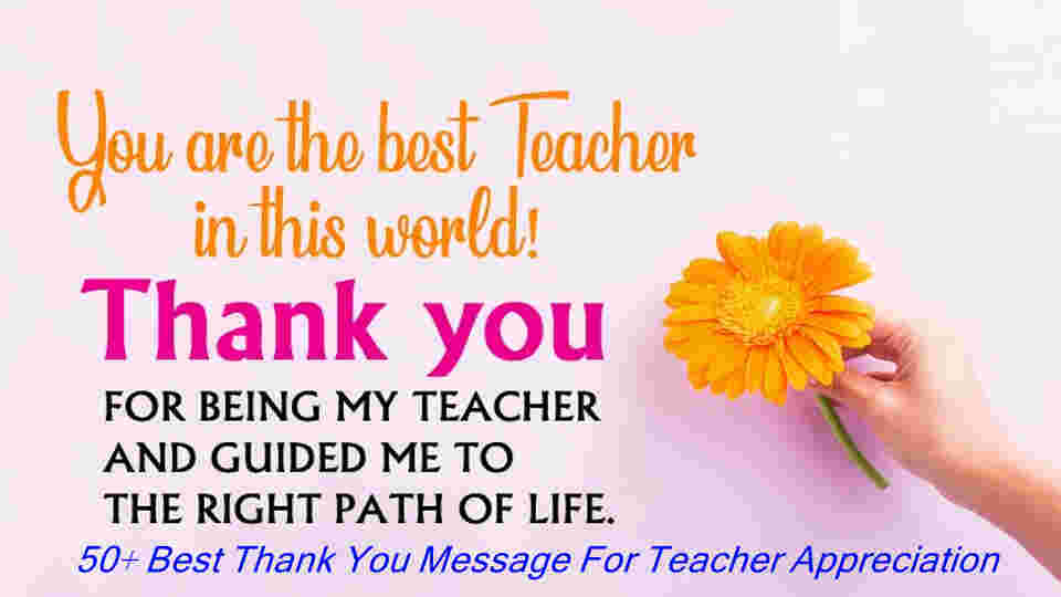 50+ Best Thank You Message For Teacher Appreciation