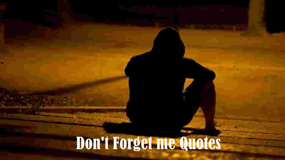 Don't Forget me Quotes