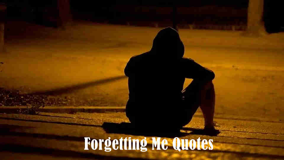 Forgetting Me Quotes