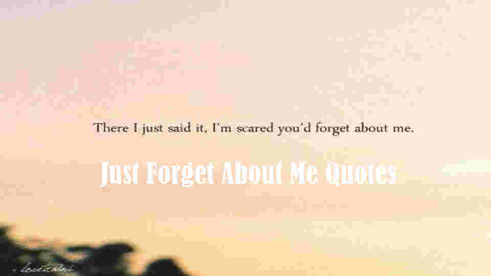 Just Forget About Me Quotes