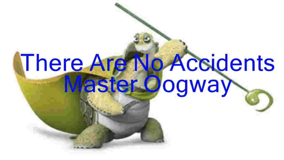 There Are No Accidents Master Oogway
